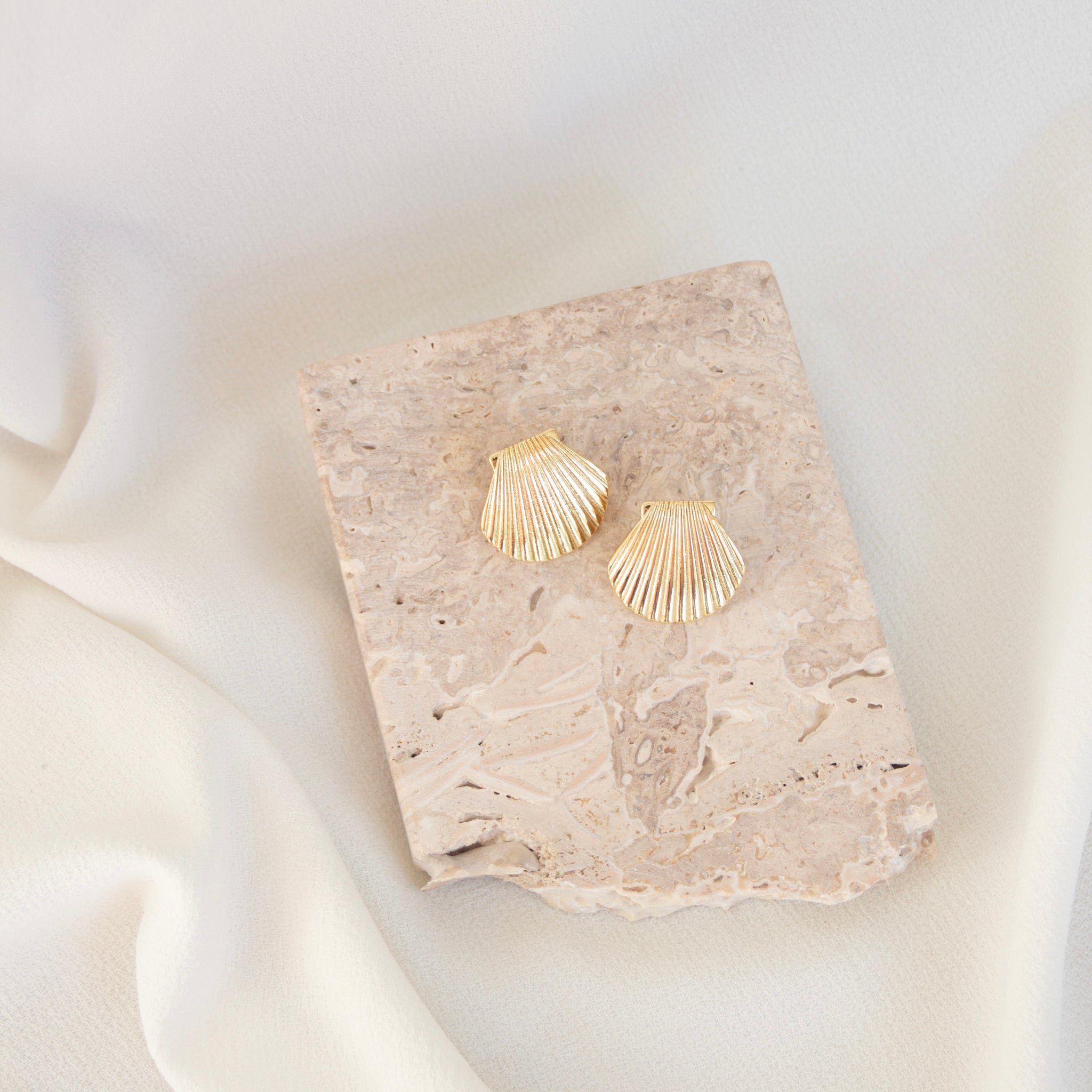 Seashell Earrings