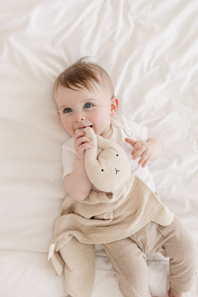 Organic Cotton Bunny Lovey Blanket