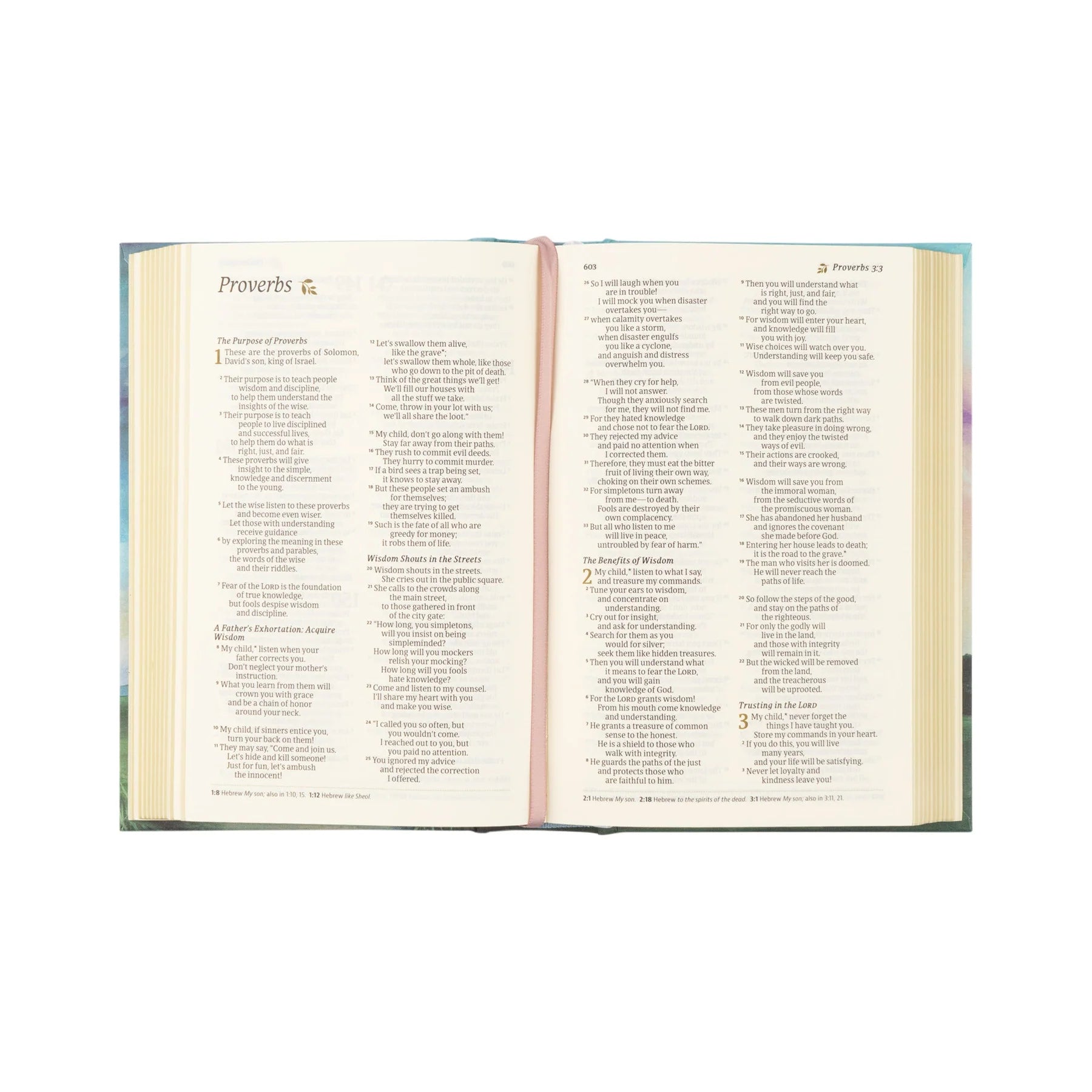 NLT Compact Bible: Prairie Theme