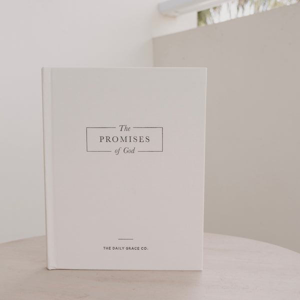 Promises of God Book